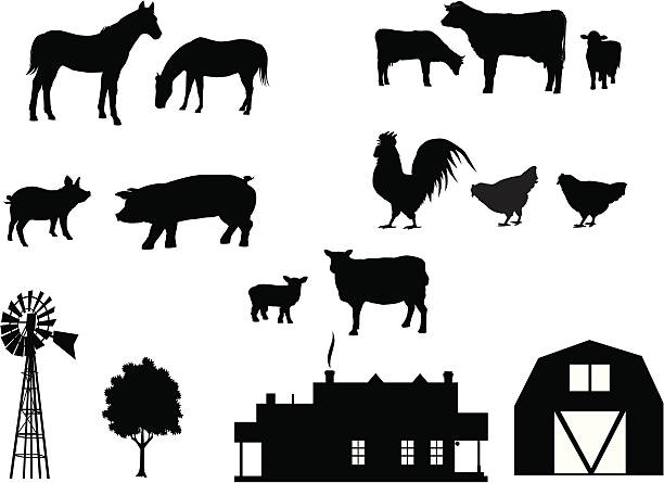 Farm Animals in Silhouette Make your own farm with farm animals, farmhouse, windmill, tree and barn. All elements are on separate and editable layers. Download includes a large high res jpeg. farm animals stock illustrations