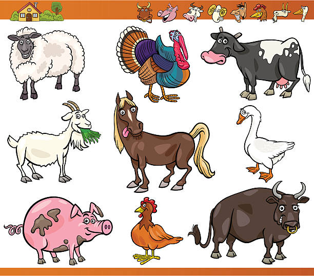 bildbanksillustrationer, clip art samt tecknat material och ikoner med farm animals set cartoon illustration - smiling earth horse