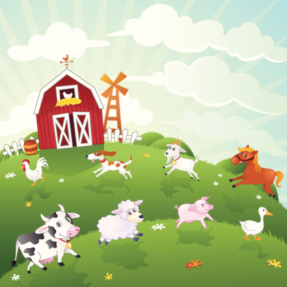 Farm Animals Vector Illustration Series