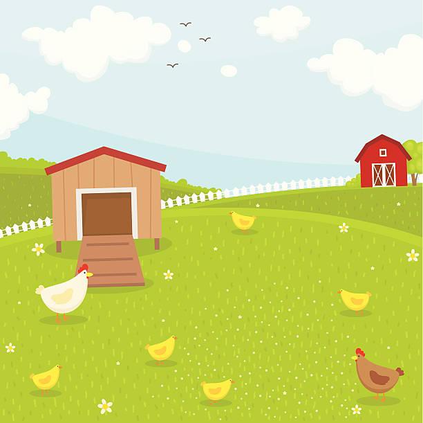 Farm chicken coop Farm chicken coop chicken coop stock illustrations