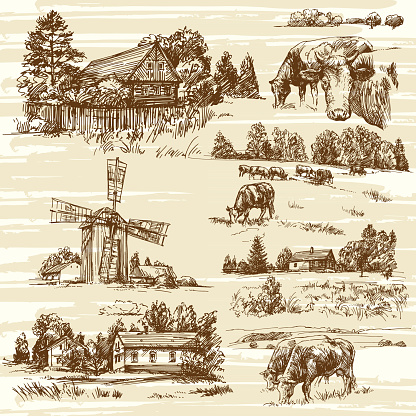Farm, cows, rural landscape - hand drawn set