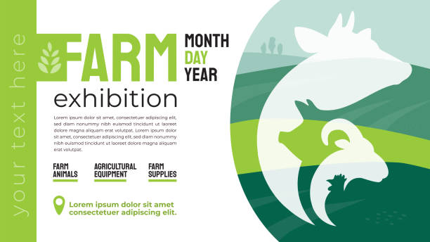 Farm exhibition identity template Design for agricultural exhibition. Identity for farm animals business, agricultural equipment, supplies, conference, forum. Illustration with sign of cow, pig, ram. Template for flyer, advert, banner farm animals stock illustrations