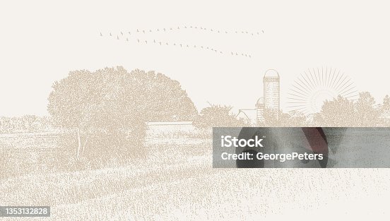 istock Farm fields with Canada Geese flying in V formation 1353132828