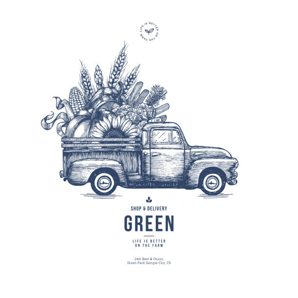 Farm fresh delivery design template. Classic vintage pickup truck with organic  vegetables. Vector illustration Vector illustration truck drawings stock illustrations