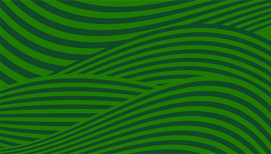 Farm green banner. Organic products abstract background with fields. Wavy green lines, backdrop for advertising natural organic products. Ecology background. Striped Farmer Green Pattern