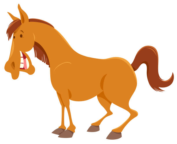 bildbanksillustrationer, clip art samt tecknat material och ikoner med farm häst djur seriefigur - silly horse