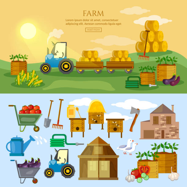 illustrazioni stock, clip art, cartoni animati e icone di tendenza di fattoria nel villaggio di banner fattoria elementi agricoltura collection - allevatore