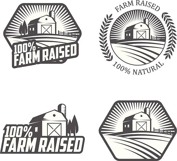 ilustrações de stock, clip art, desenhos animados e ícones de farm levantada etiquetas e emblemas - emblem food label
