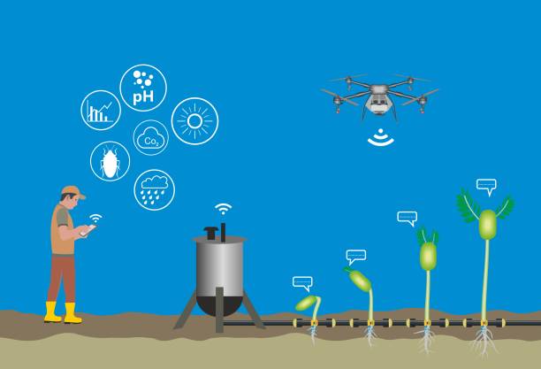 illustrazioni stock, clip art, cartoni animati e icone di tendenza di farmer controlla il sistema di irrigazione intelligente sul campo con un'app mobile sul suo tablet e drone - software agricoltura irrigazione