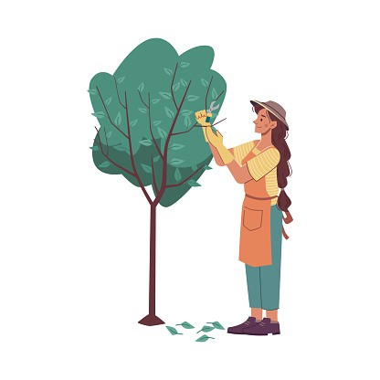 Farmer pruning branches of tree. Isolated female character farmer in protective clothes working with special scissors in garden. Vector in flat cartoon style