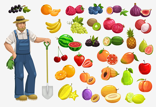 Farmer with fruits and berries, gardening food
