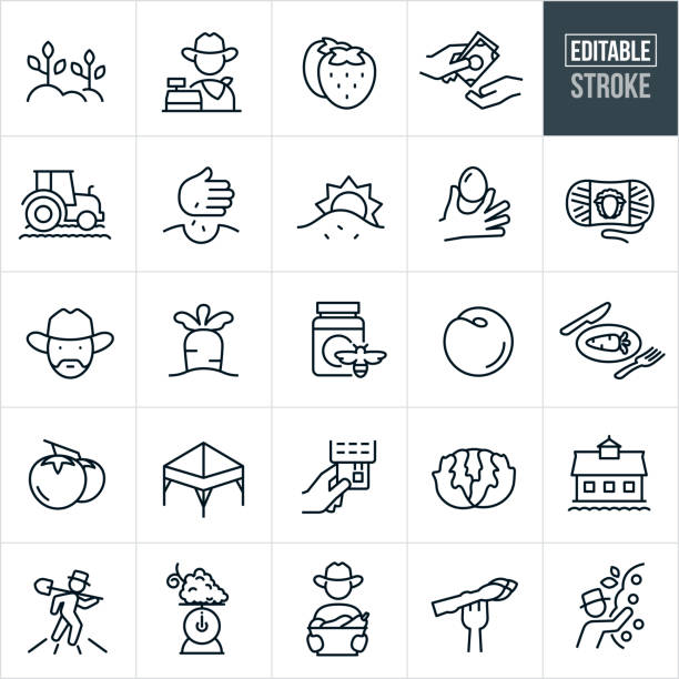 Farmers Market Thin Line Icons - Editable Stroke A set of farmers' market icons that include editable strokes or outlines using the EPS vector file. The icons include a farmers market, farmer behind cash register, vegetable crops, farmers field, agriculture, strawberries, fruit, vegetables, cash being paid, tractor in field, farm grown food, seeds being planted, plants sprouting, chicken egg, wool yarn, cowboy, farmer, carrot growing in ground, honey, peaches, tomatoes, canopy tent, credit card reader, lettuce, barn, farmer walking fields, grapes on scale, farmer holding basket of vegetables, asparagus on fork, farmer picking apples from tree and other related icons. farmers market stock illustrations