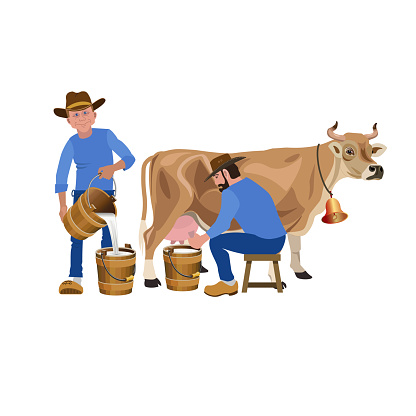 Farmers milking a cow