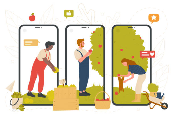 ilustrações de stock, clip art, desenhos animados e ícones de farmers pick red apple harvest in farm garden on screens of mobile phones, worker farming - technology picking agriculture