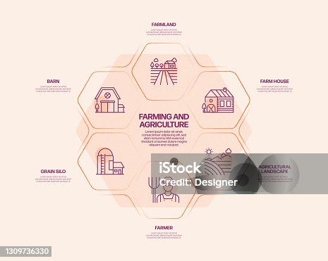 istock Farming and Agriculture Related Process Infographic Template. Process Timeline Chart. Workflow Layout with Icons 1309736330