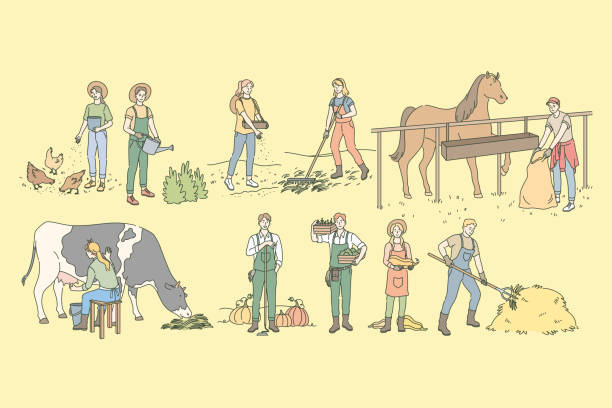 bildbanksillustrationer, clip art samt tecknat material och ikoner med jordbruk, landsbygdsliv, djurhållning jordbruk set koncept - horse working