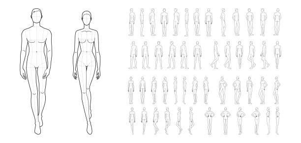 Fashion template of 50 men and women Fashion template of 50 men and women. 9 head size for technical drawing. Gentlemen and lady figure front, side, 3-4 and back view. Vector outline boy and girl for fashion sketching and illustration. mannequin stock illustrations
