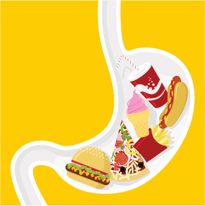Fast food pizza hamburger hotdog soda  obesity illustration vector