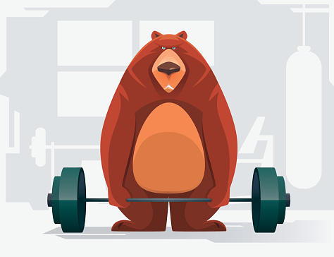 fat bear lifting barbell