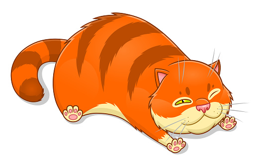 Fat cartoon cat