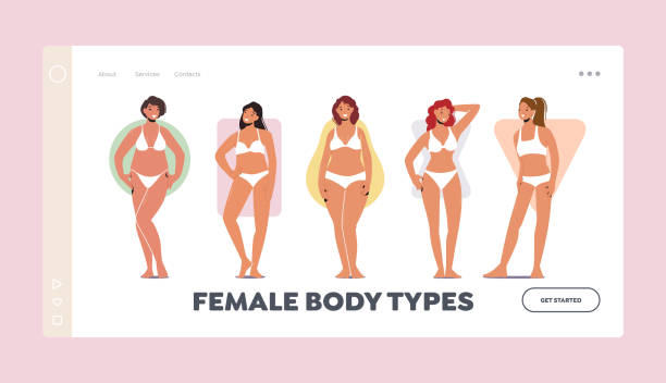 Female Body Shapes Landing Page Template. Women Body Figure Types, Characters Hourglass, Inverted Triangle, Round Female Body Shapes Landing Page Template. Women Body Figure Types, Characters Hourglass, Inverted Triangle, Round, Rectangle and Pear Shapes, Girls Posing. Cartoon People Vector Illustration cartoon of fat lady in swimsuit stock illustrations