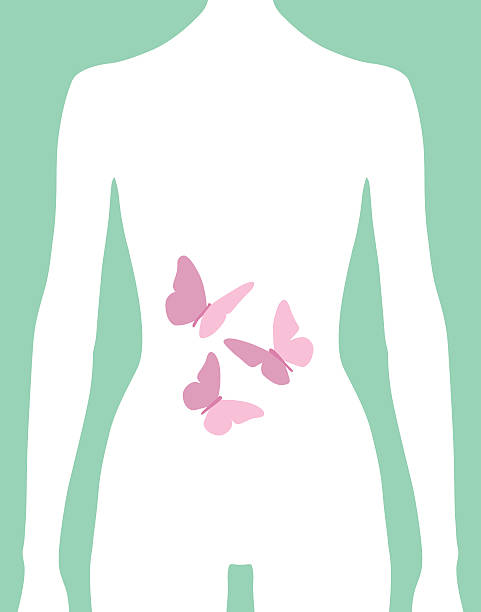Female Butterflies In Stomach Icon Vector illustration of pink butterflies on a female figure against a teal green background. female animal stock illustrations