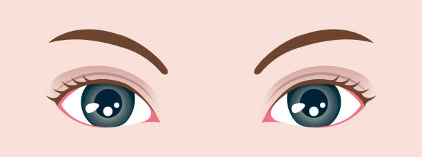 ilustraciones, imágenes clip art, dibujos animados e iconos de stock de ilustración vectorial de los ojos de cerca femenino - eye close up