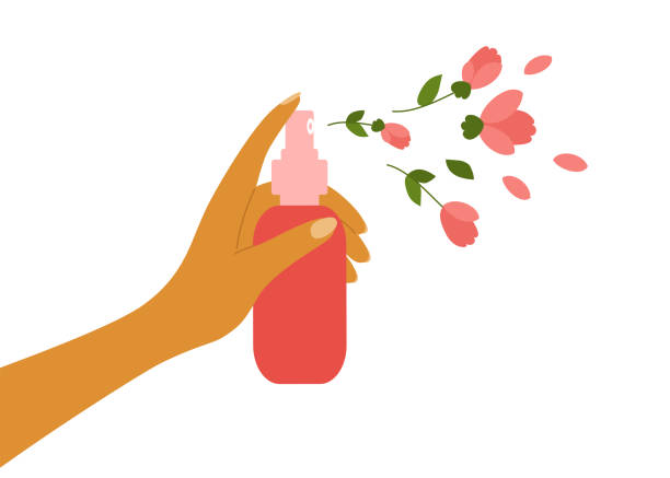 Female hand holding aerosol dispenser and spraying of rose water, flower hydrolat or perfume Rose water, flower hydrolat, perfume, natural cosmetics. Female hand holding aerosol dispenser spraying by petals, buds, leaves. Nature aroma fragrance. Body beauty care. Freshness vector illustration aerposol cosmetics stock illustrations