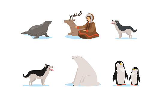 Female inuit Character in Traditional Clothing and Arctic Animals Vector Set
