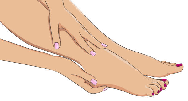 Female legs barefoot, side view. Woman hands doing feet massage Female legs barefoot, side view. Woman hands doing feet massage or applying cream. Colored manicure and pedicure. Design element for spa centers or cosmetic products. Vector illustration isolated. lacquered stock illustrations