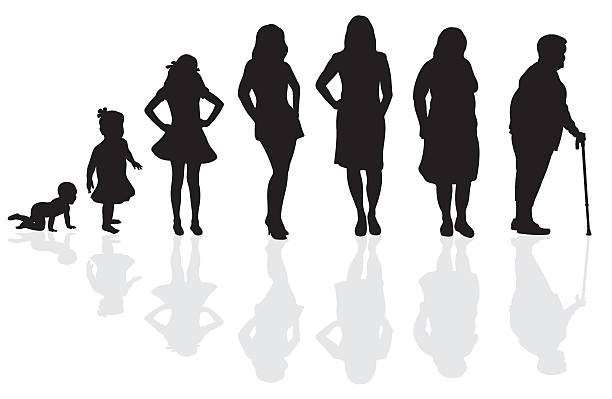 Female Life Cycle Silhouette Female Life Cycle Silhouette (showing aging) growth silhouettes stock illustrations