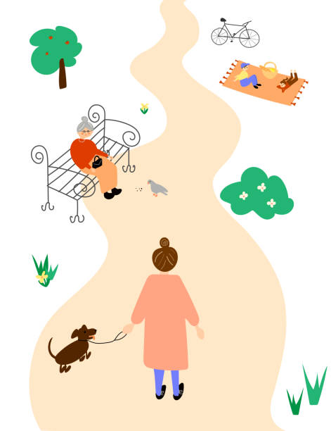 Female taking a walk in a park illustration  nature path stock illustrations