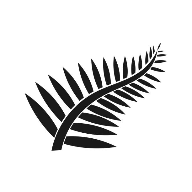 Fern leaf icon Fern leaf icon. New Zealand symbol illustration fern stock illustrations