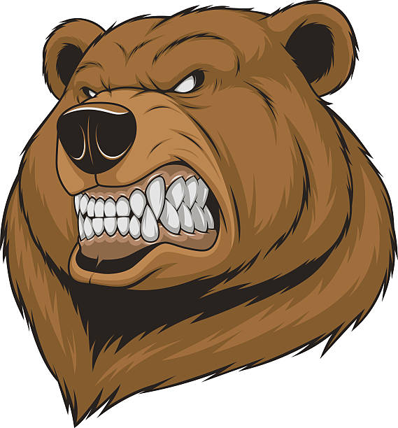.Ferocious Bear head Vector illustration, a ferocious bear head on a white background bear growling stock illustrations