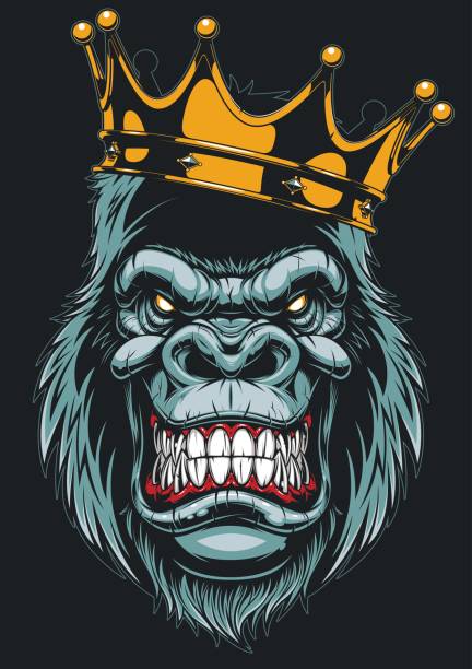 Ferocious gorilla head Vector illustration, ferocious gorilla head on with crown, on white background gorilla stock illustrations