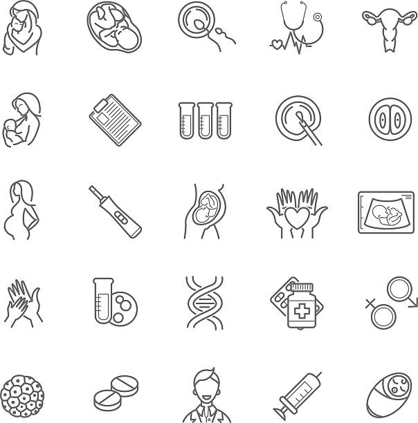 fertilization, pregnancy and motherhood vector icon set. Gynecol fertilization, pregnancy and motherhood vector icon set. Gynecology, childbirth healthcare thin line symbols for web design, layout, etc. mother icons stock illustrations