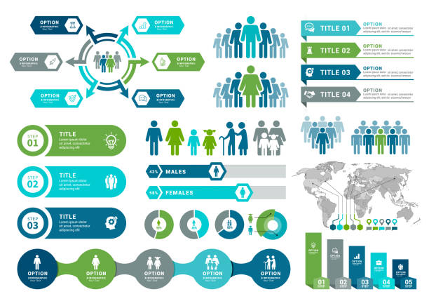 Vector illustration of the demographics infographic elements