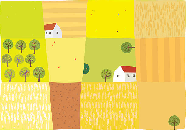 ilustraciones, imágenes clip art, dibujos animados e iconos de stock de campos para cosecha - corn field