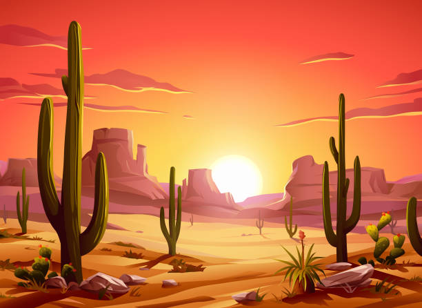 Fiery Desert Sunset Vector illustration of an idyllic desert landscape with Saguaro cactus at sunset. In the background are hills and mountains, and a bright, vibrant red sky. Illustration with space for text. desert area backgrounds stock illustrations