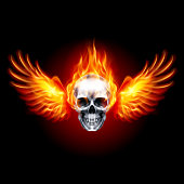 Illustration of Burning Skull Grim Reaper. Fiery Metall Skull with Fire Wings on Black Background