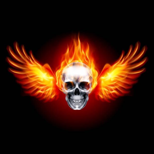 Fiery Skull Illustration of Burning Skull Grim Reaper. Fiery Metall Skull with Fire Wings on Black Background demon fictional character stock illustrations