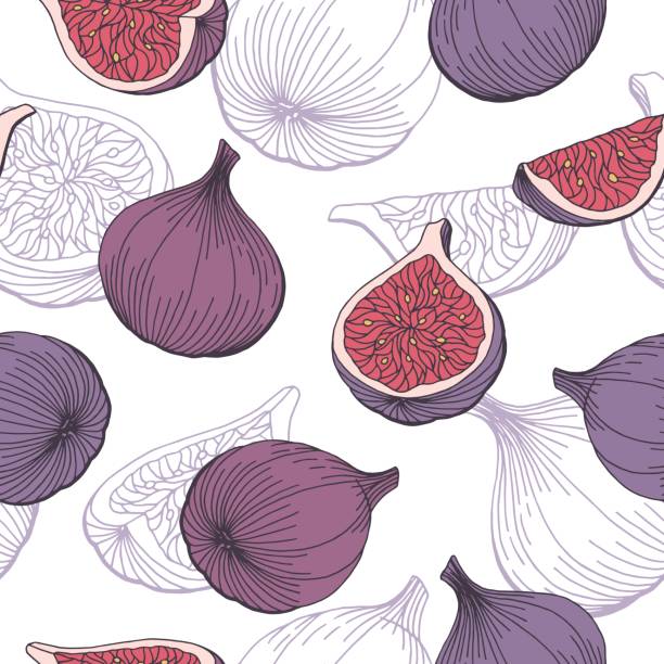 ilustrações de stock, clip art, desenhos animados e ícones de fig fruit graphic color seamless pattern sketch illustration vector - figo