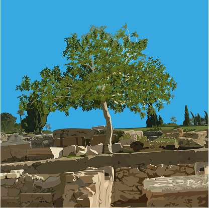 Fig tree in the summer on ancient ruins
