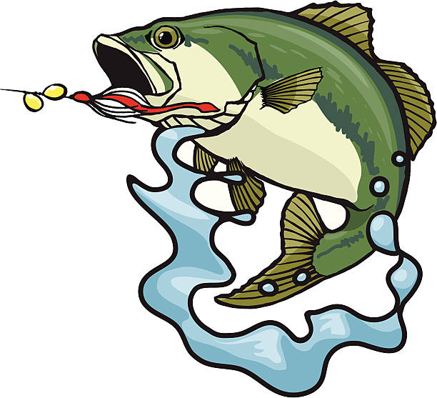 Fighting Bass Bass jumping out of water, with spinner in it's mouth, making a splash. bass fish jumping stock illustrations