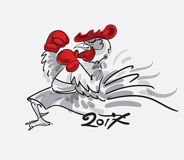 fighting rooster cartoon character. vector illustration. - rooster fight st...