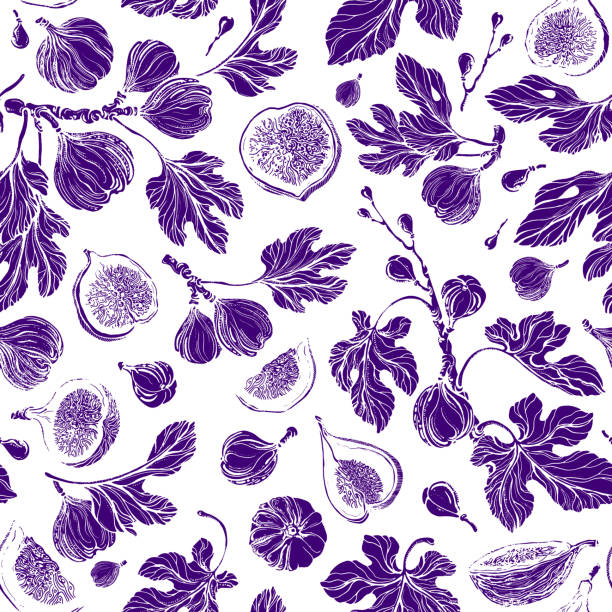 ilustrações de stock, clip art, desenhos animados e ícones de figs seamless pattern. vector texture print summer - figo