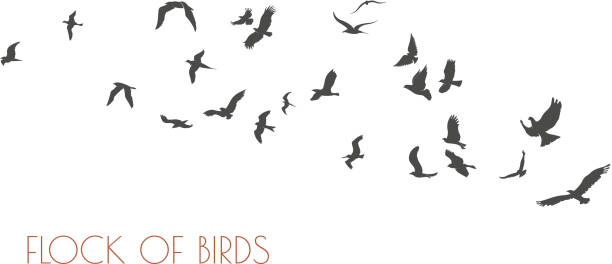 白い背景に飛んでいる鳥の群れを示す図 - 鳥点のイラスト素材／クリップアート素材／マンガ素材／アイコン素材