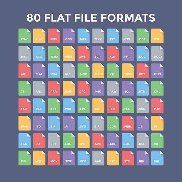 File Formats Icons Flat file format icons. Audio, video, image, system, archive, code and document file types svg stock illustrations