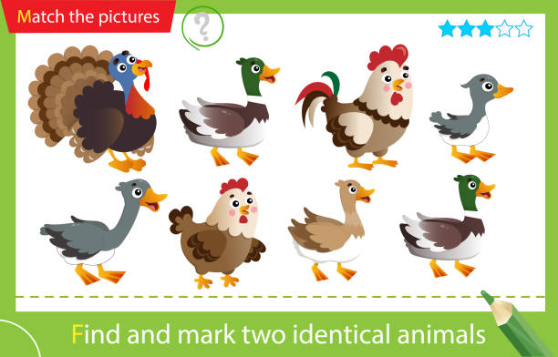 Find and mark two identical animals. Puzzle for kids. Matching game, education game for children. Color images of farm animals. Poultry. Turkey, goose, duck, Drake, hen, rooster. Worksheet for preschoolers Find and mark two identical animals. Puzzle for kids. Matching game, education game for children. Color images of farm animals. Poultry. Turkey, goose, duck, Drake, hen, rooster. Worksheet for preschoolers drake stock illustrations