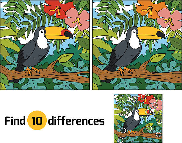 Find differences, game for children (toucan and background) Find differences, education game for children (toucan and background) variation stock illustrations